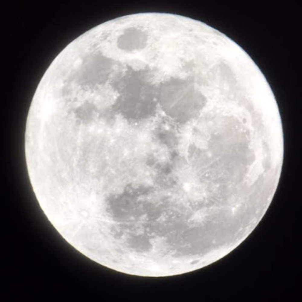 Meet your Posher, Mark